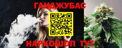 крисы Партизанск