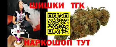 крисы Партизанск