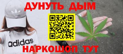 крисы Партизанск
